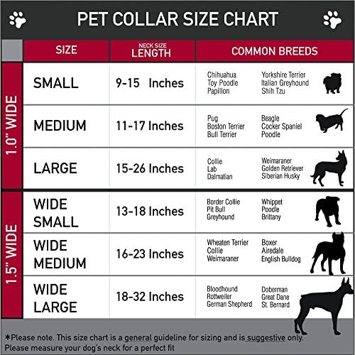אבזם חגורת אלופה/דגלים/כוכבים צווארון כלבים מרטינגייל, שחור/זהב, 1.5 מתאים לרווחה 18-32 צוואר גדול
