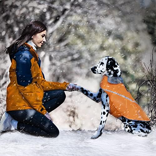 מעילי כלבים חורפיים של Vivaglory, הלבשת כלבים למזג אוויר קר, ז'קט כלבים חם אטום לרוח למעילי כלבים קטנים לחורף,